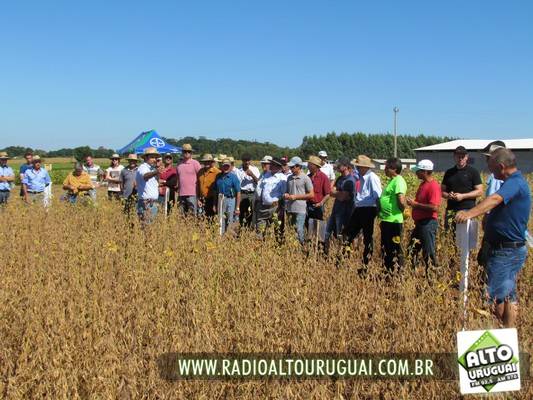 Cotricampo promove Dia de Campo da Soja, destacando safra recorde e novidades tecnológicas