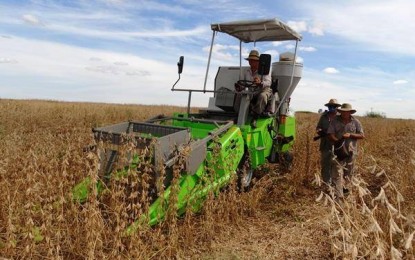 Campo experimental da Cotricampo avalia produtividades