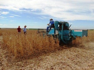 1427368738.57-foto_1