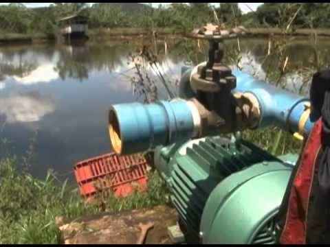 Propriedades rurais de Crissiumal foram beneficiadas com programa de Irrigação