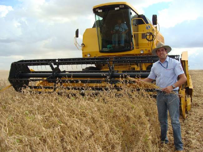 Safra de soja tem bom rendimento na área de abrangência da Cotricampo