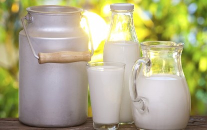 Quantas bactérias pode ter o leite cru antes de pasteurizar?