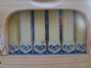 20150222154529-DSC06619