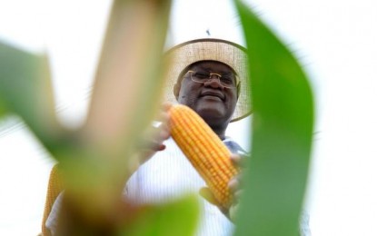 Estrangeiros, agricultores, estudantes: conheça o perfil e as histórias de quem visita a Expodireto