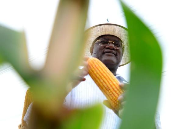 Estrangeiros, agricultores, estudantes: conheça o perfil e as histórias de quem visita a Expodireto