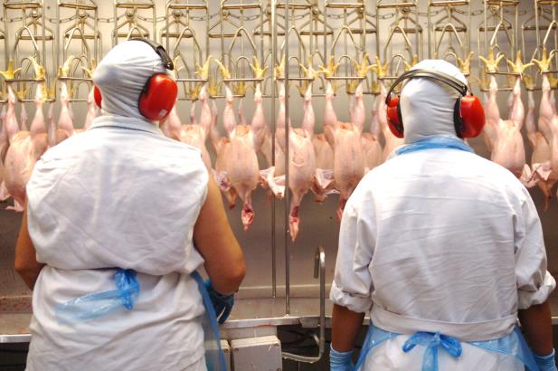 Paralisação prejudica exportação de frango