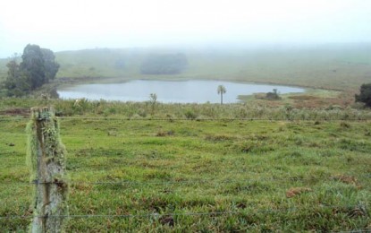 Frio marca primeira semana de junho mas não deve haver geada