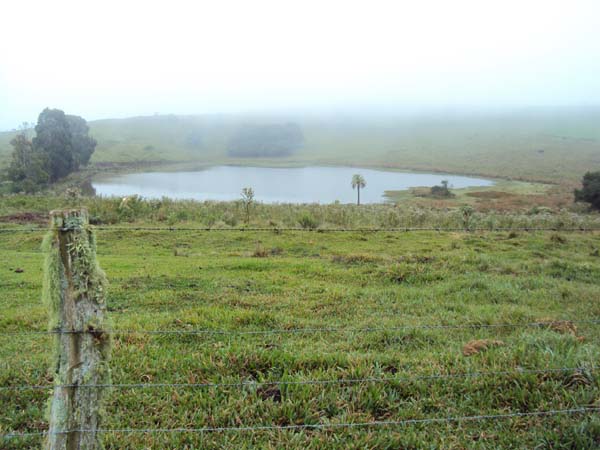 Frio marca primeira semana de junho mas não deve haver geada
