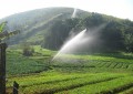 Participantes de audiencia publica não vê necessidade de licenciamento para projetos de irrigação