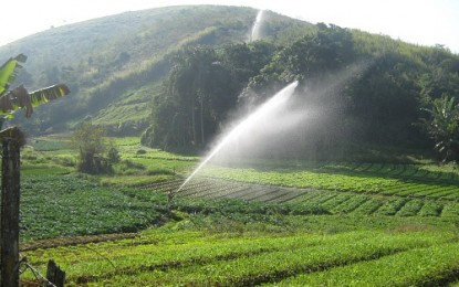 Agroecologia e produção orgânica terão novo plano