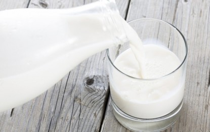 Governo prepara conjunto de ações para aumentar a qualidade do leite