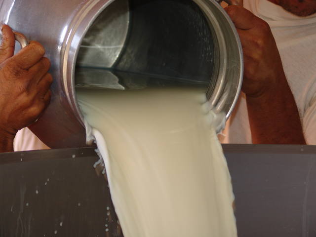Preço do leite ao produtor tem leve recuo em janeiro