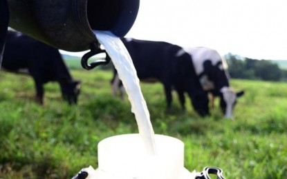 Setor leiteiro adota censo e maior controle para superar crise