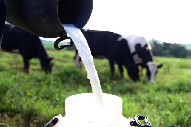 Setor leiteiro adota censo e maior controle para superar crise