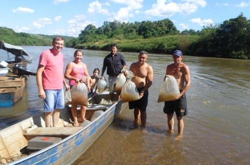 No Dia Internacional de Luta pela Proteção dos Rios, Uruguai recebeu cerca de 15000 alevinos