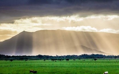 Frio aumenta nos próximos dias com previsão de geada no RS