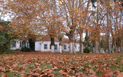 Chegada do outono terá queda brusca de temperatura