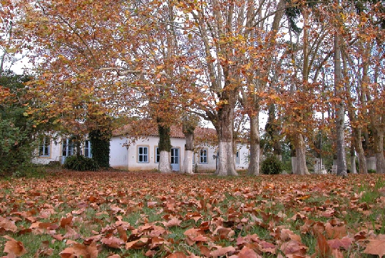 Chegada do outono terá queda brusca de temperatura
