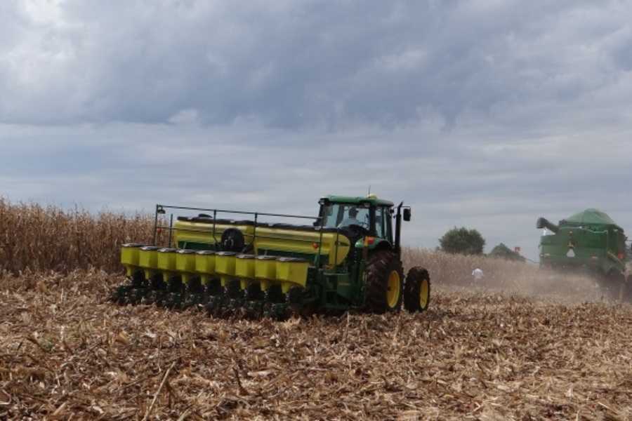 Safra de milho poderá ser uma das melhores da história do Rio Grande do Sul