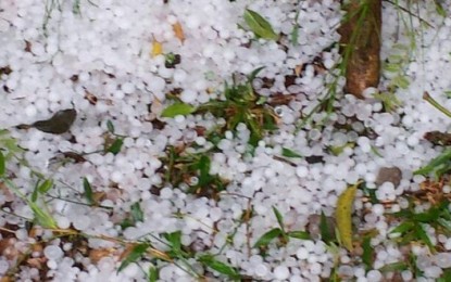 Temporal causa prejuízos nas lavouras de soja e de milho no interior de Tenente Portela