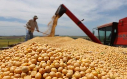 RS: colheita da soja se aproxima do final em Ijuí com média de 40 a 45 sacas