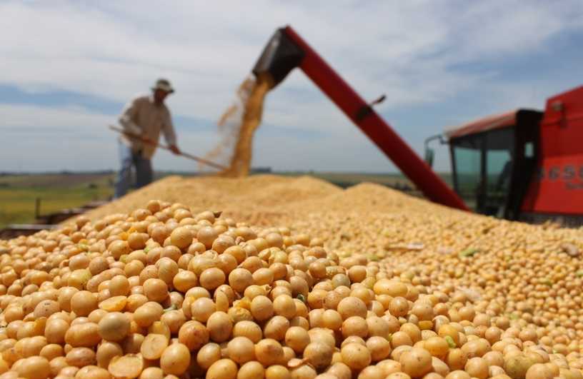 RS: colheita da soja se aproxima do final em Ijuí com média de 40 a 45 sacas