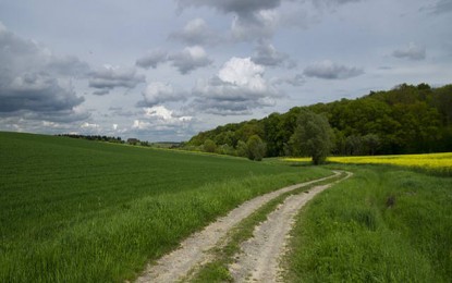 Previsão é de tempo firme em grande parte do Rio Grande do Sul e no sul de Santa Catarina