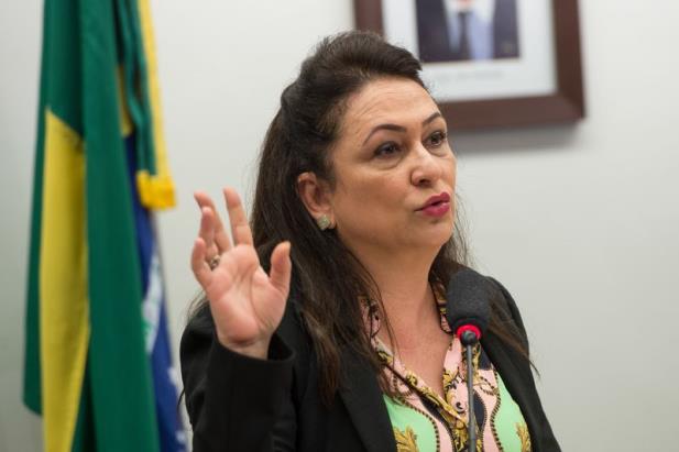 Ajuste fiscal não reduzirá recursos à agricultura, diz Kátia Abreu