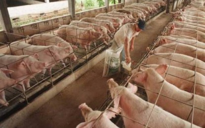 Assuipassos elege nova diretoria nesta quarta-feira