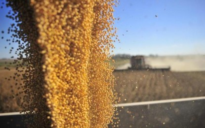 Supersafra embala exportações de soja no RS, mas câmbio instável freia euforia