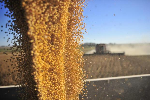 Supersafra embala exportações de soja no RS, mas câmbio instável freia euforia