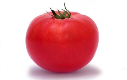 Pesticidas podem alterar qualidade do esperma, aponta estudo