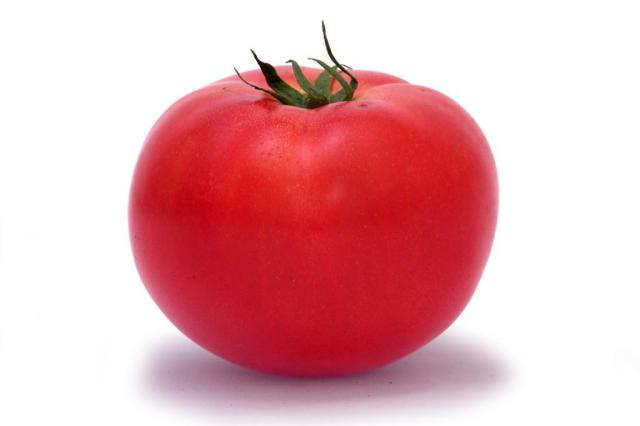 Pesticidas podem alterar qualidade do esperma, aponta estudo