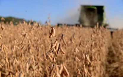 Aumento da produção de biodiesel deve beneficiar produtores gaúchos