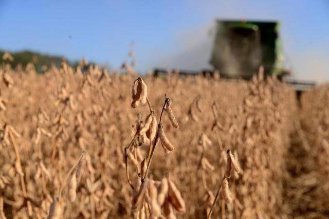 Aumento da produção de biodiesel deve beneficiar produtores gaúchos