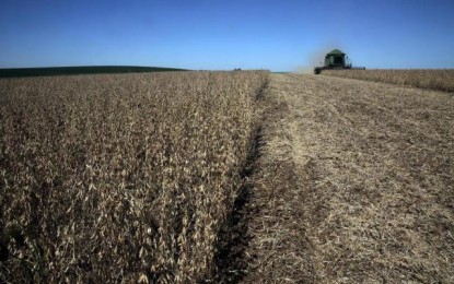 Recursos do Plano Safra 2015/16 podem chegar a R$ 176 bilhões