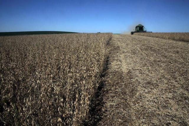 Recursos do Plano Safra 2015/16 podem chegar a R$ 176 bilhões