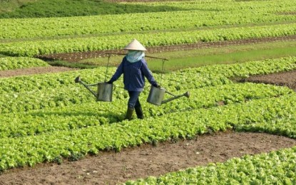 Instituto Nacional de Câncer alerta para excesso de uso de agrotóxicos no Brasil