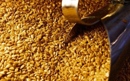 Maior consumo de produtos integrais na cidade abre oportunidade para agricultores no RS