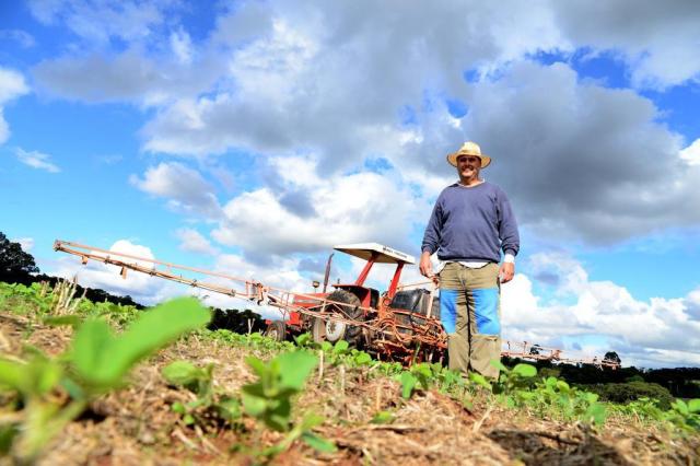 Alto custo de produção deve provocar redução na área plantada de trigo