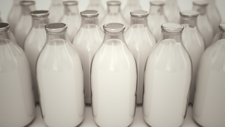 Gaúchos discutem criação de banco de dados do leite