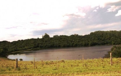 Temperaturas e precipitação devem ficar dentro do padrão nos próximos 3 meses