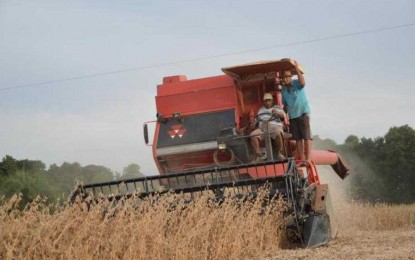 Colheita da Soja: Estimativa de produtores rurais não deve ser alcançada