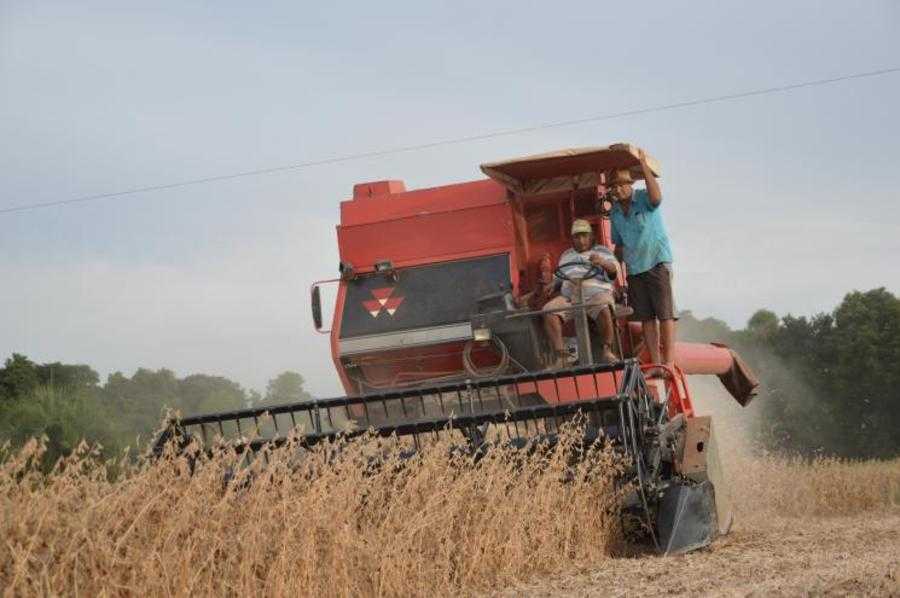 Colheita da Soja: Estimativa de produtores rurais não deve ser alcançada