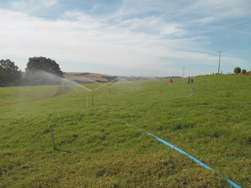 Agricultores de Portela são beneficiados com programa de irrigação e cisternas