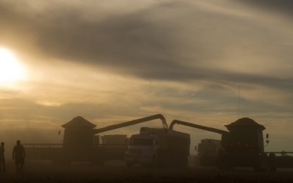 Gaúchos colheram mais de 80% da soja e do milho