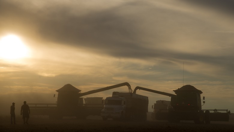 Gaúchos colheram mais de 80% da soja e do milho