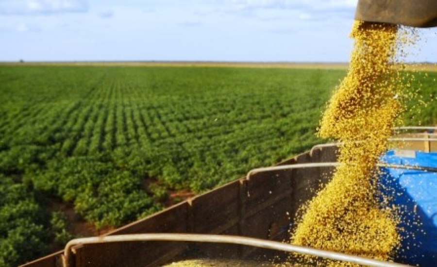 Conab calcula safra de 31 milhões de toneladas de grãos