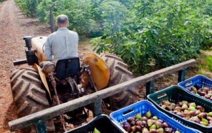 Governo busca solução administrativa para manter filantropia da Emater
