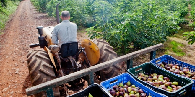 Governo busca solução administrativa para manter filantropia da Emater
